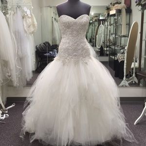 Private Label drop waist organza gown. Size 12